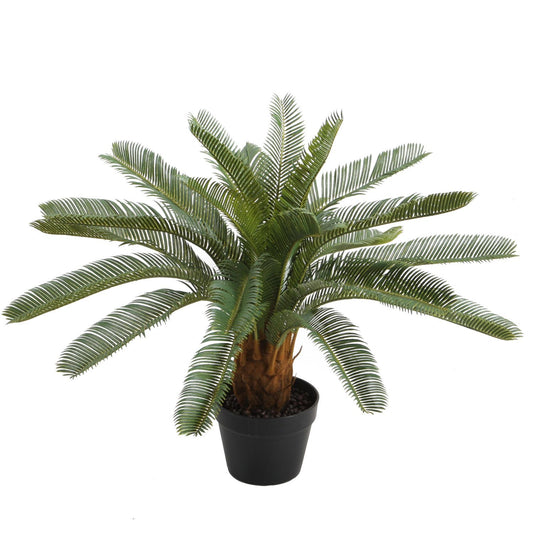 Artificial plant CYCAS H70cm, black flower pot 