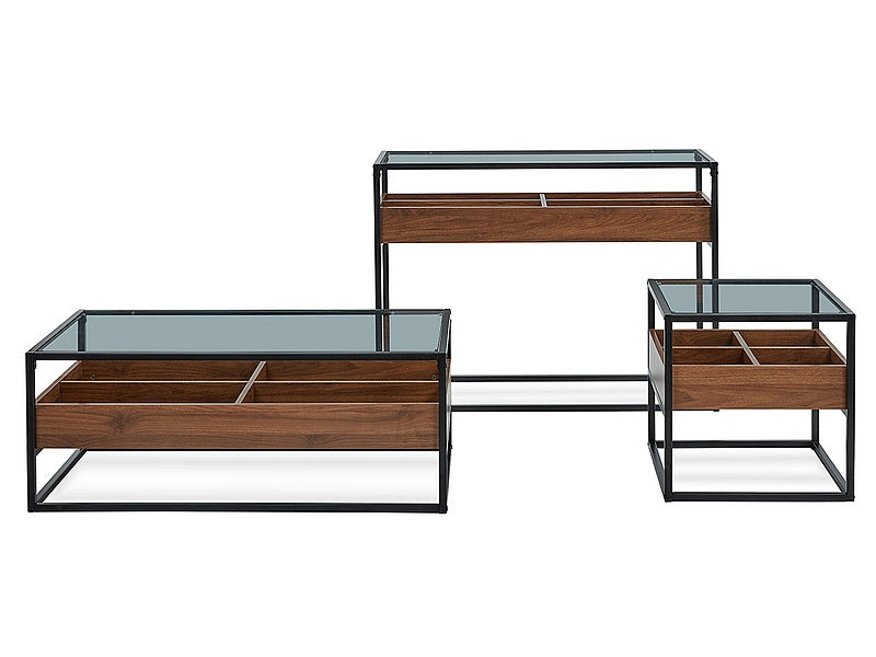 Coffee table HARMONY TRANSPARENT+WALNUT/BLACK 110X55