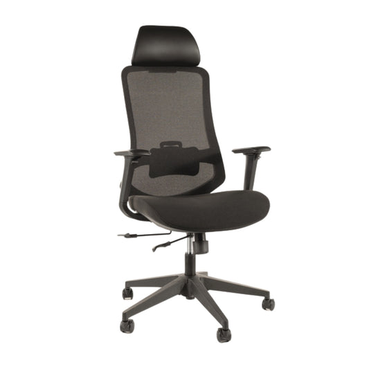 Офисный стул ERGON BLACK CHAIR