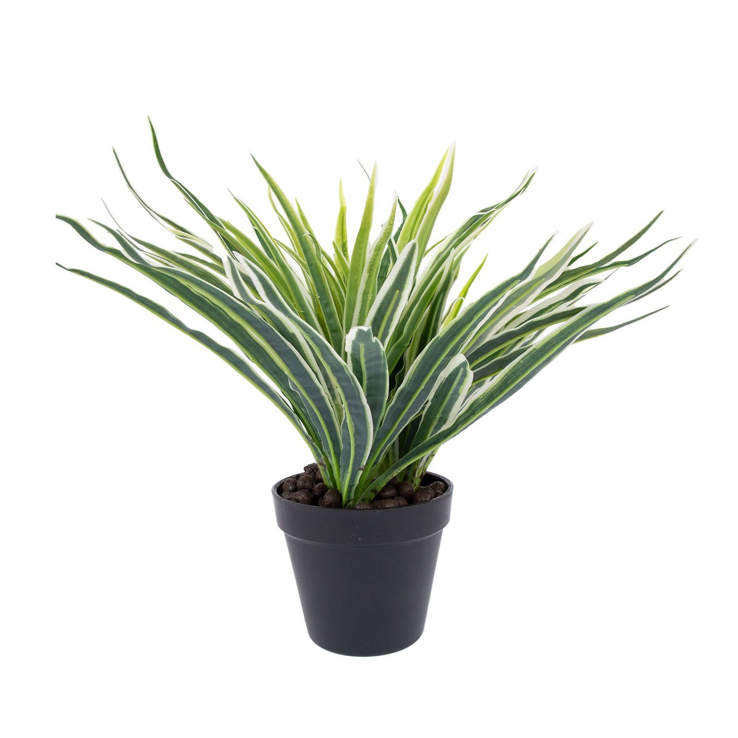 Green plant GREEN GRASS, H30cm, black pot 