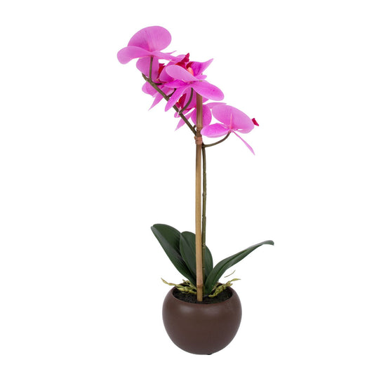 Purple orchid with 1 branch IN GARDEN, H46cm, black pot 