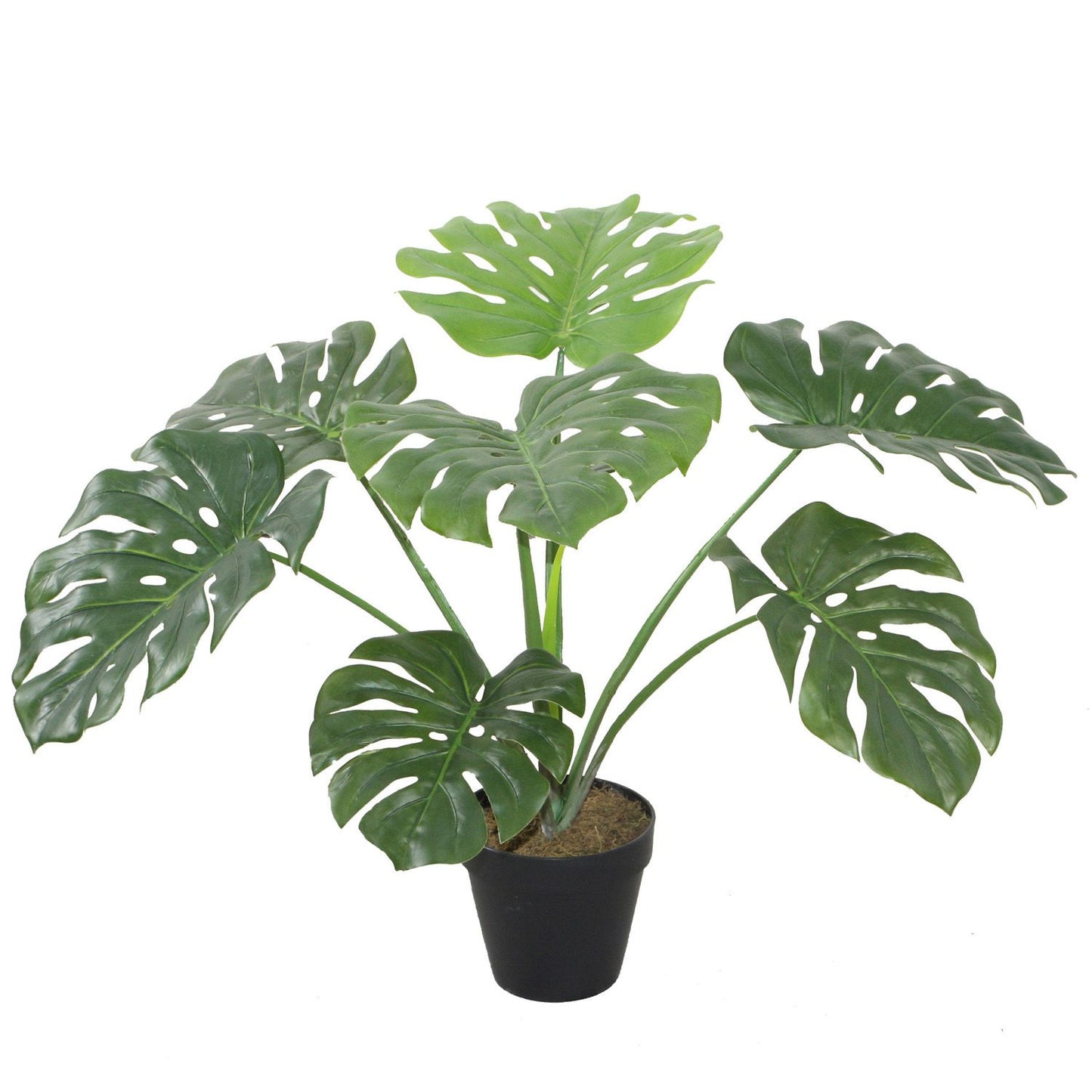 Искусственное растение MONSTERA H60см, черный цветочный горшок 