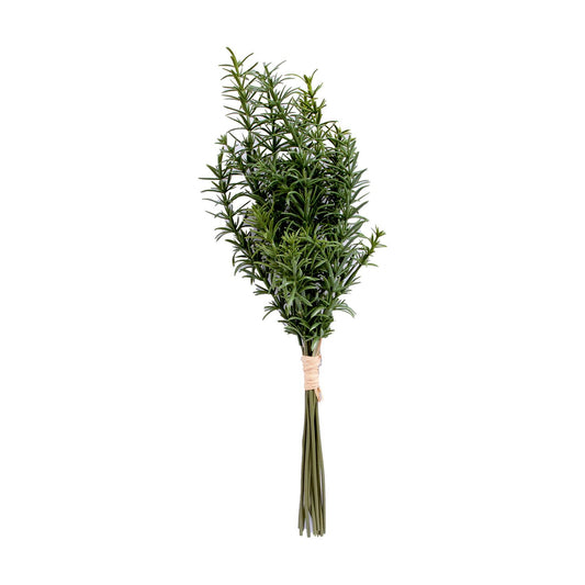 Rosemary 10pcs / bundle IN GARDEN, H30cm 