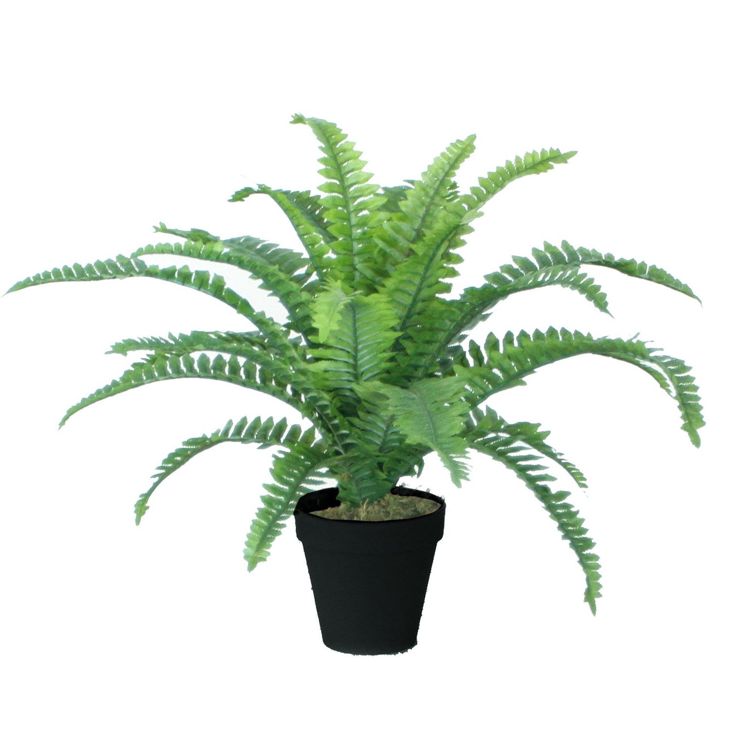 Artificial plant BOSTON FERN H45cm, fern flower, black flowerpot 