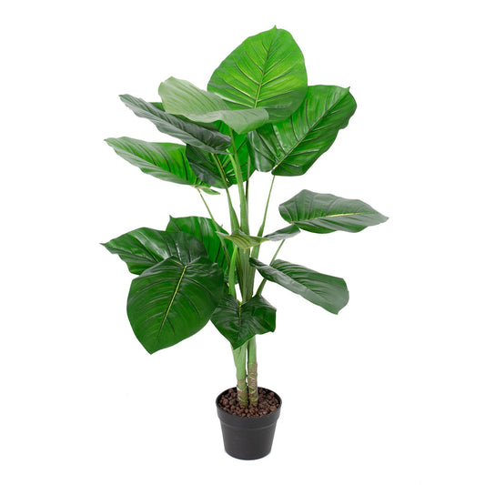 Zaļš augs POTHOS, H90cm