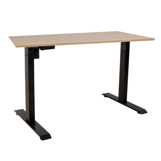 Desk ERGO with 1 motor 160x80cm, hickory/black 