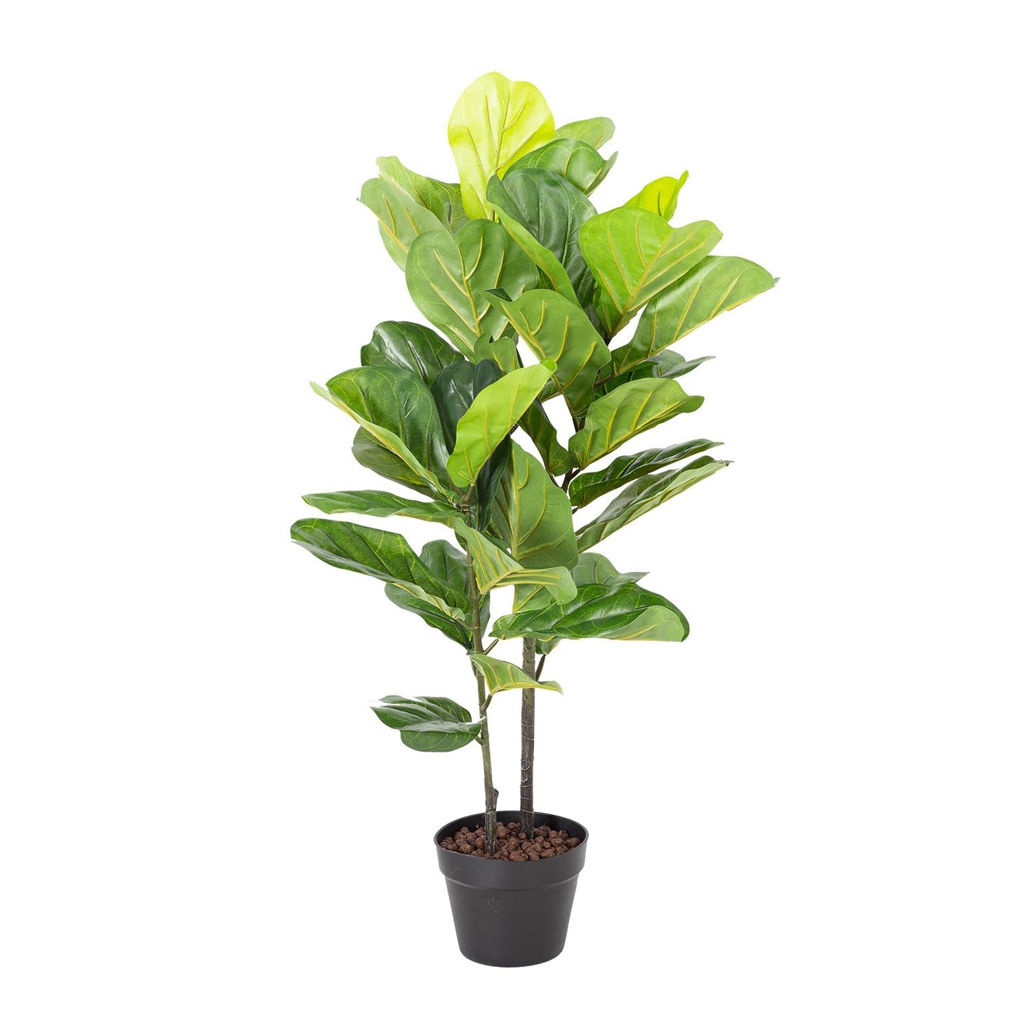 Green plant FIDDLE LEAF, H190cm 