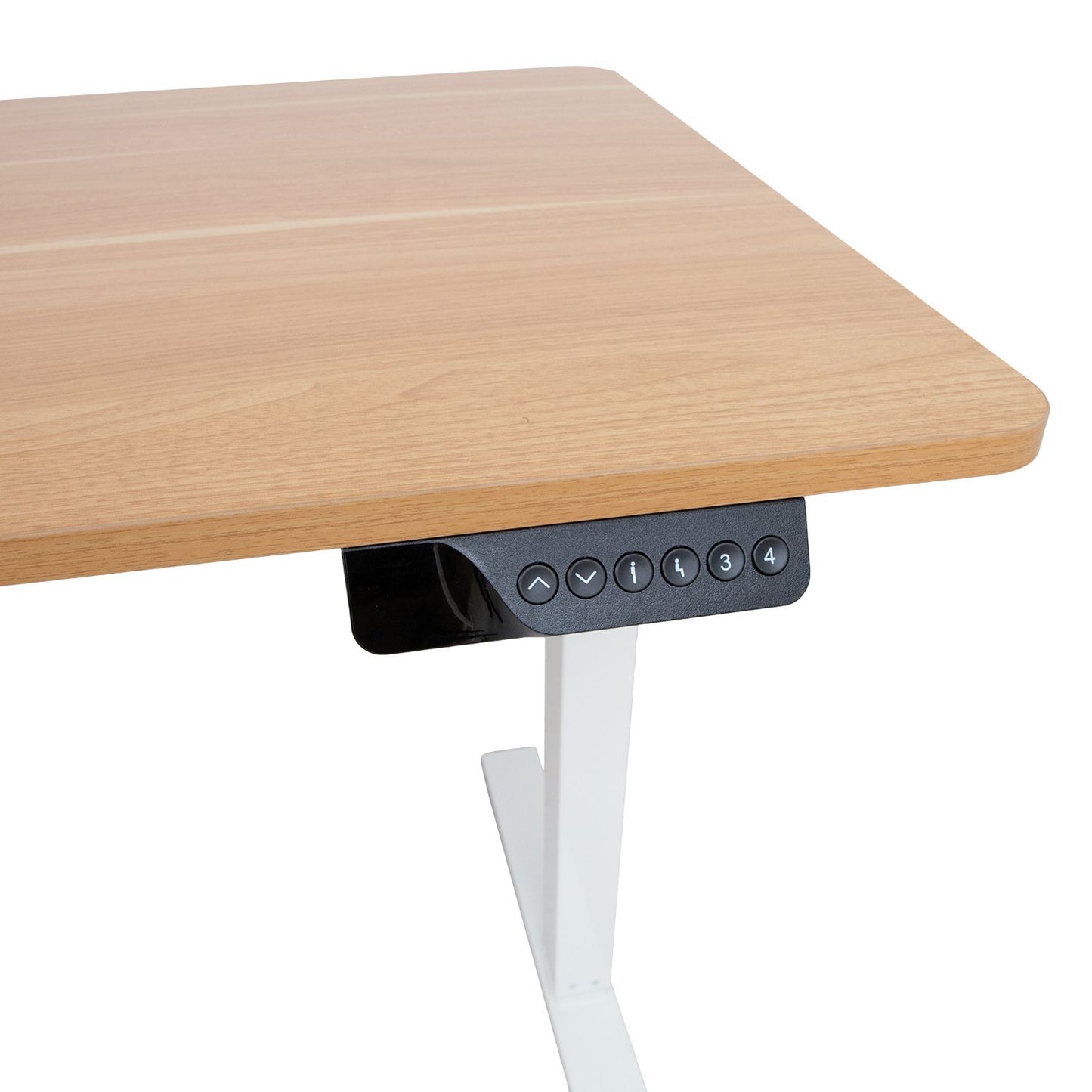 Desk ERGO with 1 motor 120x60xH73-121cm, white/oak 