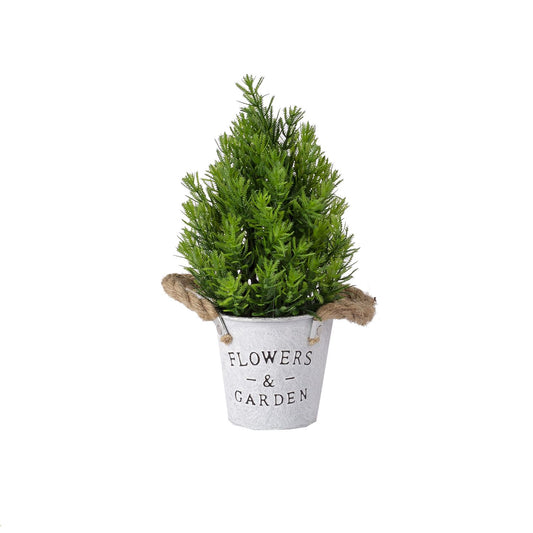 Green plant IN GARDEN, H30cm, fir, green 