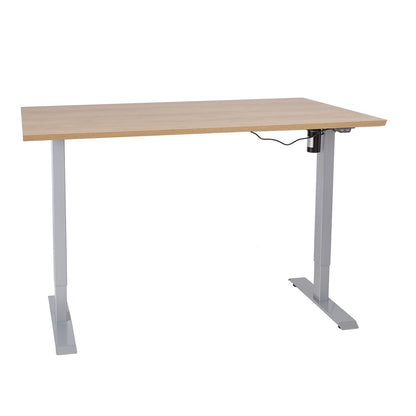 Desk ERGO with 1 motor 160x80cm, hickory 