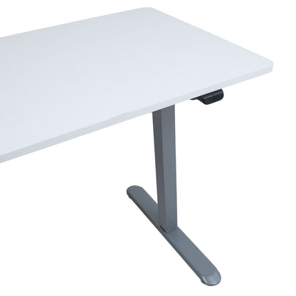 Desk ERGO LIGHT with 1 motor 120x60cm, silver gray/white 