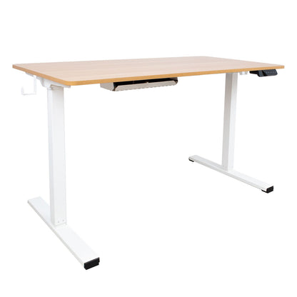 Desk ERGO with 1 motor 120x60xH73-121cm, white/oak 