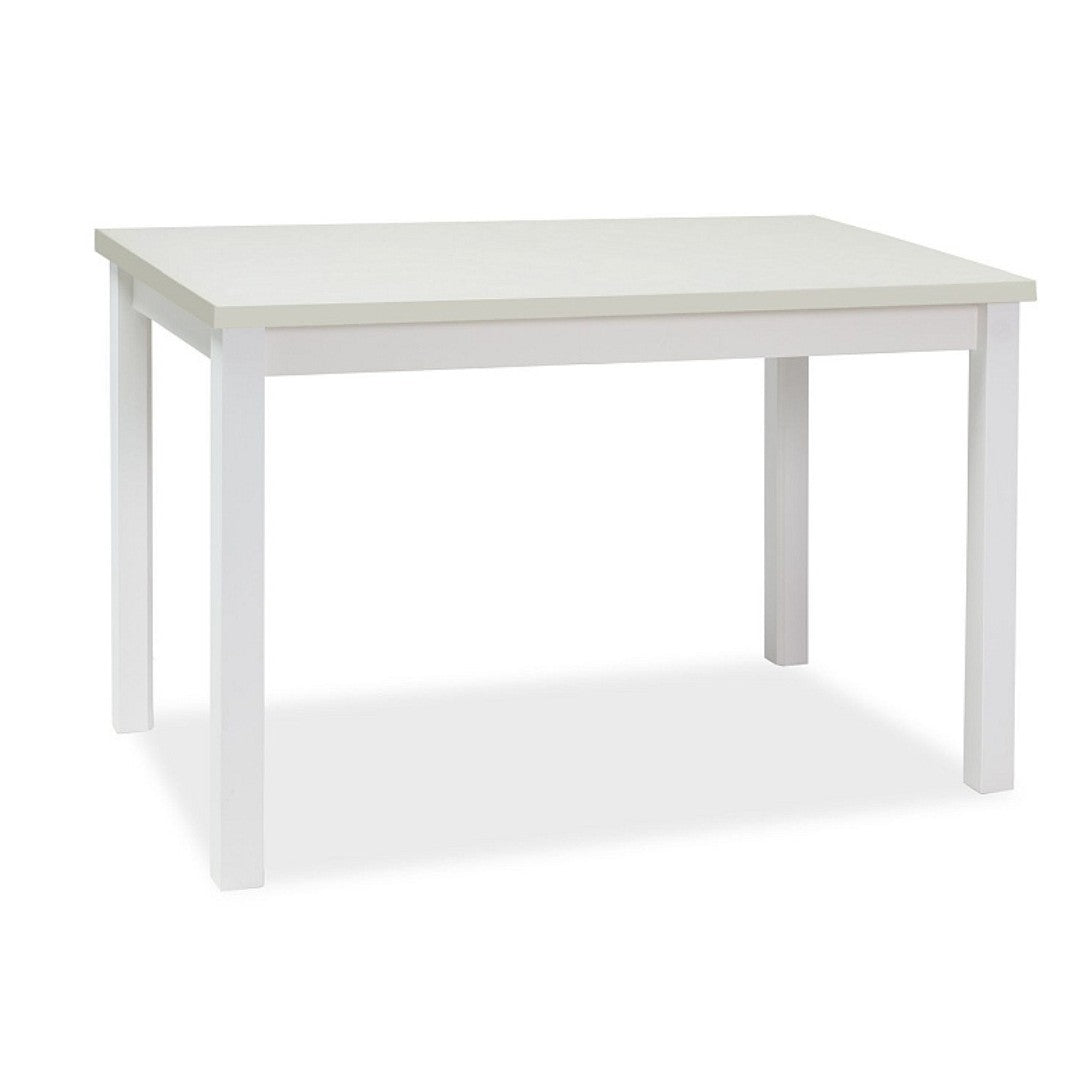 Table ADAM WHITE MATTE 100x60