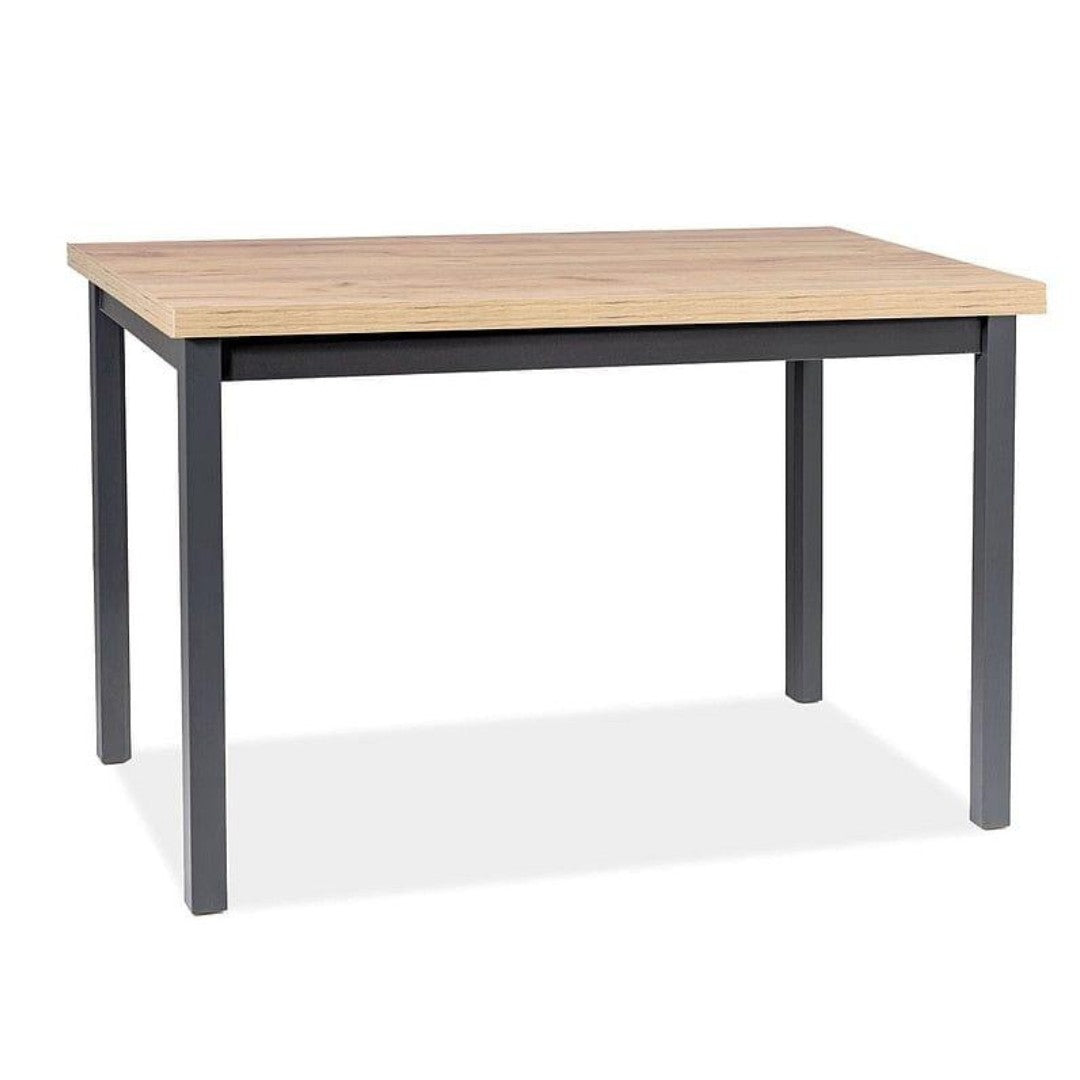 Table ADAM ARTISAN OAK COLOR / BLACK 100x60