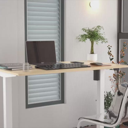 Desk ERGO LIGHT with 1 motor 120x60cm, silver gray/white 